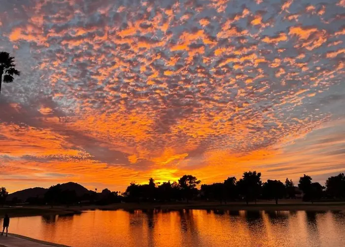 Holiday home Private Executive Home, Pet Friendly, Walkable Scottsdale
